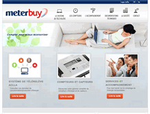 Tablet Screenshot of meterbuy.com